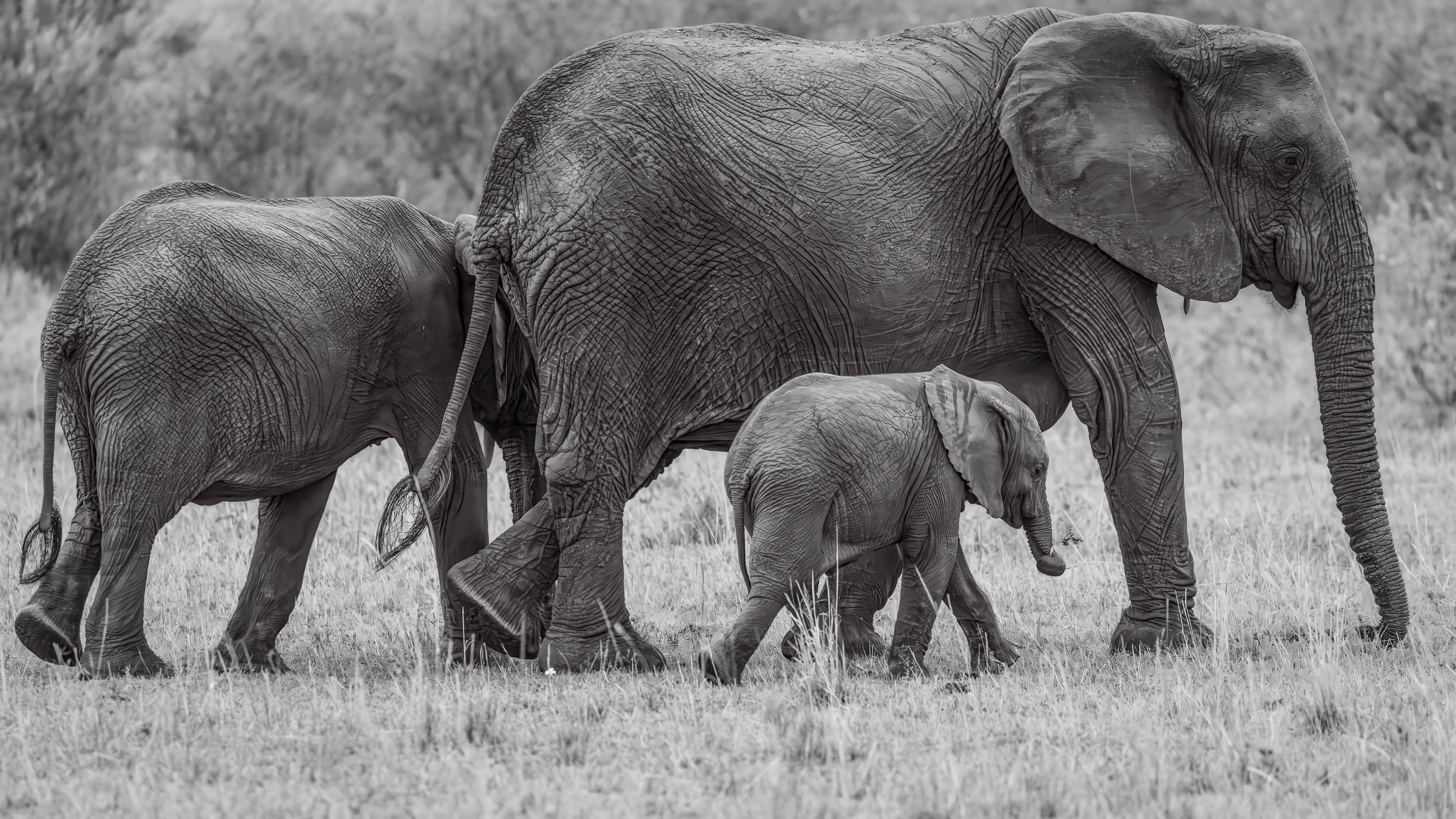 November 14, 2022-180127-2-Edit.jpg